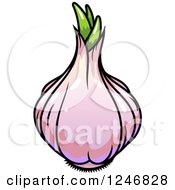 Clipart Of A Purple Garlic Royalty Free Vector Illustration