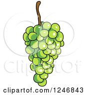 Poster, Art Print Of Green Grapes