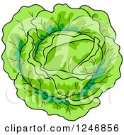 Clipart Of A Cabbage Royalty Free Vector Illustration