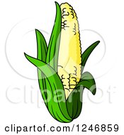 Clipart Of A Corn Royalty Free Vector Illustration