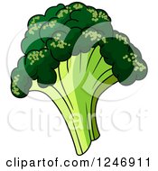 Poster, Art Print Of Broccoli