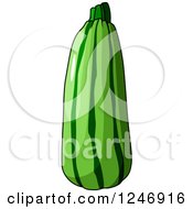 Clipart Of A Zucchini Royalty Free Vector Illustration