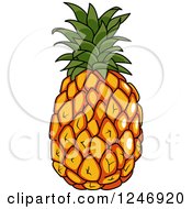 Clipart Of A Pinepaple Royalty Free Vector Illustration