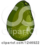 Clipart Of A Green Avocado Royalty Free Vector Illustration