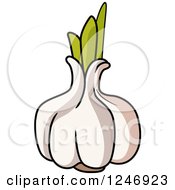 Clipart Of A Garlic Royalty Free Vector Illustration