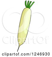 Clipart Of A Daikon Radish Royalty Free Vector Illustration by Vector Tradition SM