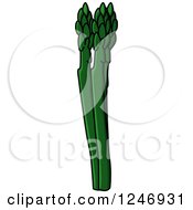 Clipart Of Asparagus Royalty Free Vector Illustration