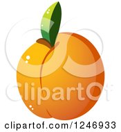 Poster, Art Print Of Apricot