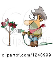 Caucasian Cowboy Man Watering A Rose Bush