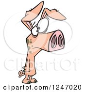Clipart Of A Sad Skinny Pig Royalty Free Vector Illustration