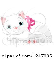 Cute Blue Eyed White Kitten Resting In A Pink Bow Collar