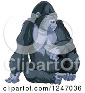 Poster, Art Print Of Cute Gorilla Sitting Upright