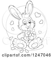 Clipart Of A Black And White Bunny Rabbit Playing She Loves Me She Loves Me Not With Flower Petals Royalty Free Vector Illustration