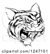 Poster, Art Print Of Black And White Hissing Tiger Mascot Head