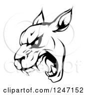 Poster, Art Print Of Black And White Roaring Panther Mascot Head
