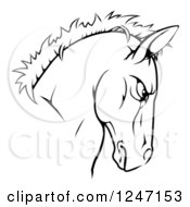 Poster, Art Print Of Tough Black And White Horse Head Mascot