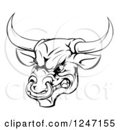 Poster, Art Print Of Black And White Aggressive Snarling Bull