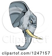 Clipart Of A Tough Elephant Mascot Head In Profile Royalty Free Vector Illustration by AtStockIllustration