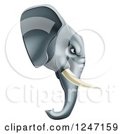 Clipart Of A Fierce Elephant Mascot Head In Profile Royalty Free Vector Illustration