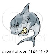 Clipart Of A Vicious Shark Mascot Attacking Royalty Free Vector Illustration