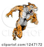 Poster, Art Print Of Fierce Muscular Running Tiger Mascot