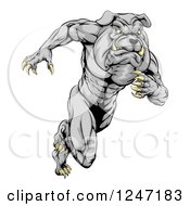 Muscular Sports Bulldog Mascot Running