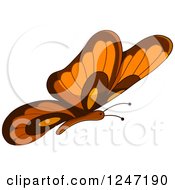 Poster, Art Print Of Brown And Orange Butterfly In Flight