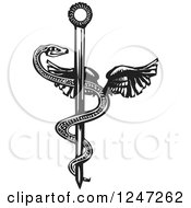 Poster, Art Print Of Black And White Woodcut Mayan Plumed Winged Snake On The Rod Of Aesculapius