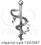 Clipart Of A Black And White Woodcut Snake And Rod Of Aesculapius Royalty Free Vector Illustration