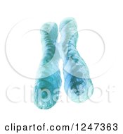 Clipart Of A 3d Chromosome On White Royalty Free Illustration by Mopic