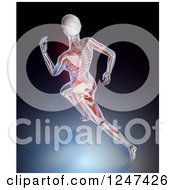 Clipart Of A 3d Aerial View Of A Female Skeleton Running Royalty Free Illustration