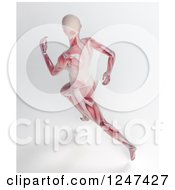 Poster, Art Print Of 3d Aerial View Of A Female Running With Visible Muscle
