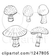 Clipart Of Black And White Mushrooms Royalty Free Vector Illustration