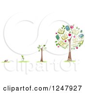 Poster, Art Print Of Seed From Start To Tree Showing Educational Growth