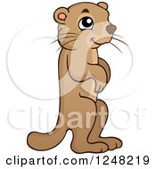 Clipart Of A Cute Alert Marmot Royalty Free Vector Illustration