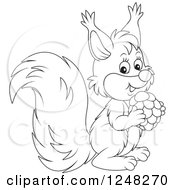 Clipart Of A Black And White Cute Squirrel Holding A Nut Royalty Free Vector Illustration