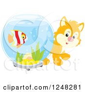 Cute Orange Kitten Looking Around A Fish Bowl