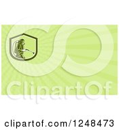 Pest Control Exterminator Background Or Business Card Design