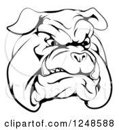 Poster, Art Print Of Black And White Snarling Bulldog Mascot Face