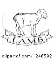 Black And White Food Banner And Lamb
