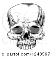 Clipart Of A Black And White Woodcut Human Skull Royalty Free Vector Illustration by AtStockIllustration
