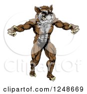 Muscular Raccoon Mascot Standing Upright
