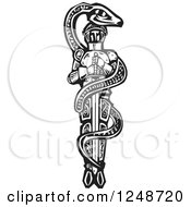 Clipart Of A Black And White Woodcut Snake Coiled Around Knight Saint George Royalty Free Vector Illustration by xunantunich #COLLC1248720-0119