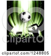 Poster, Art Print Of 3d Soccer Ball Over A Crowd Of Fans On Green