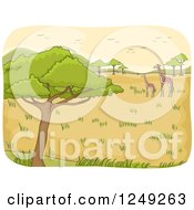 Poster, Art Print Of Safari Landscape With Giraffes And Birds