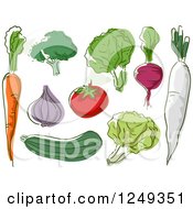 Clipart Of Sketched Healthy Vegetables Royalty Free Vector Illustration