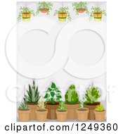 Poster, Art Print Of Background Of Hanging And Potted Plants