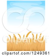 Clipart Of A Wheat Field And Blue Sky Background Royalty Free Vector Illustration