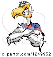 Tough Angry Pelican Mascot With Folded Arms And A T Shirt