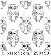 Poster, Art Print Of Seamless Background Pattern Of Black And White Owls